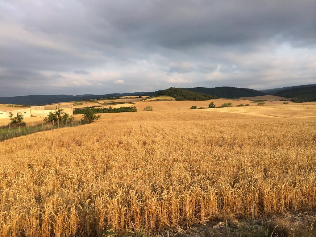 Mihotelito Viloria de Rioja Екстер'єр фото